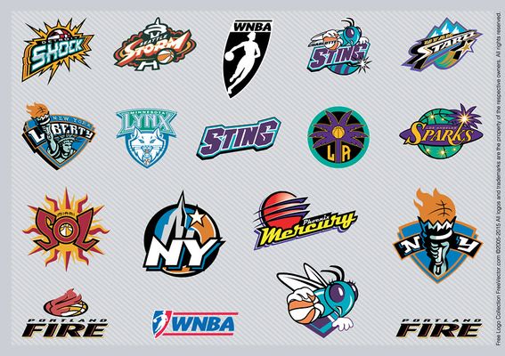 主教练郑薇 主教练郑薇