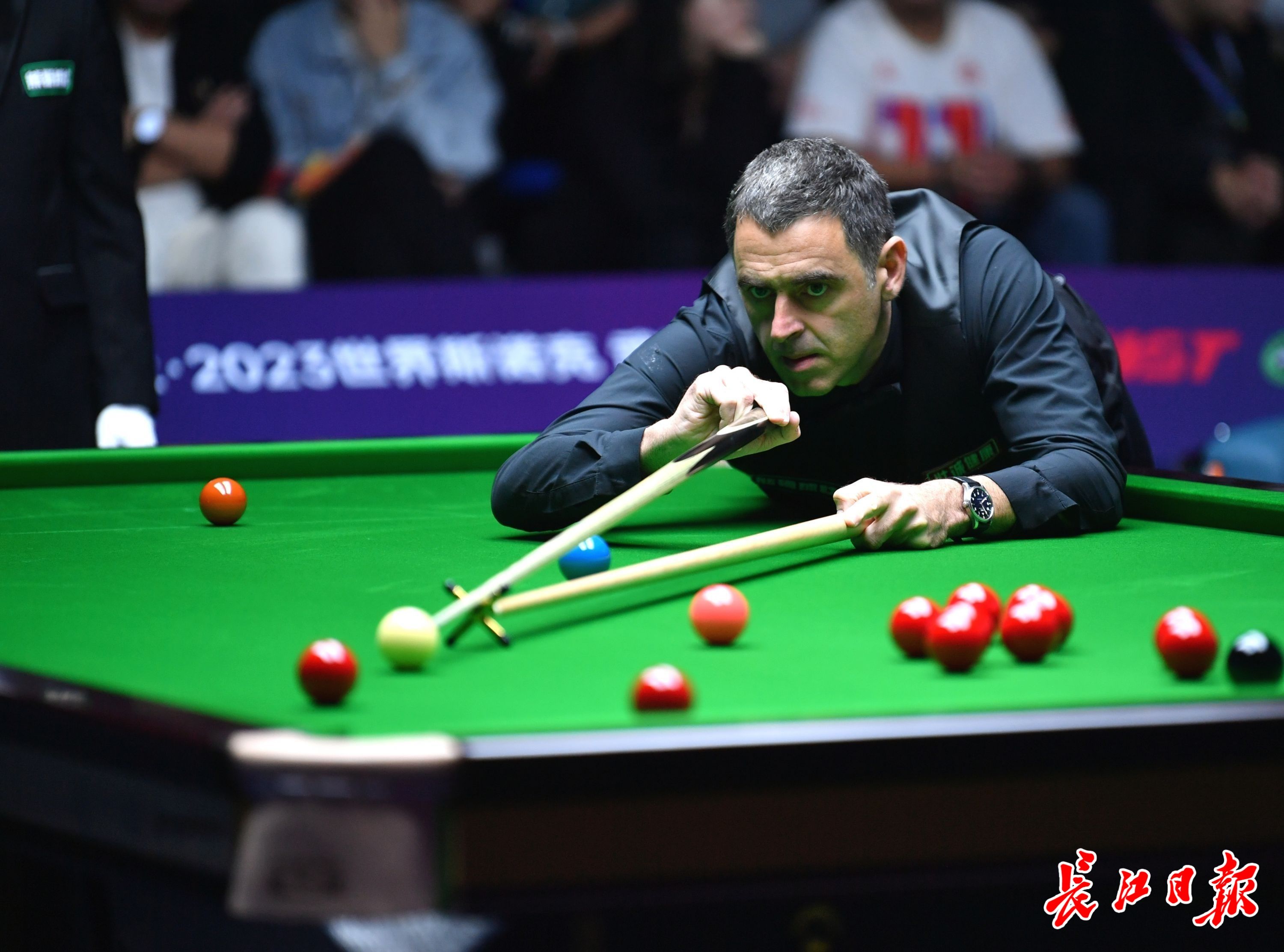 一个赛季最 一个赛季最