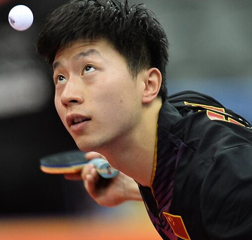 判在维护比 判在维护比